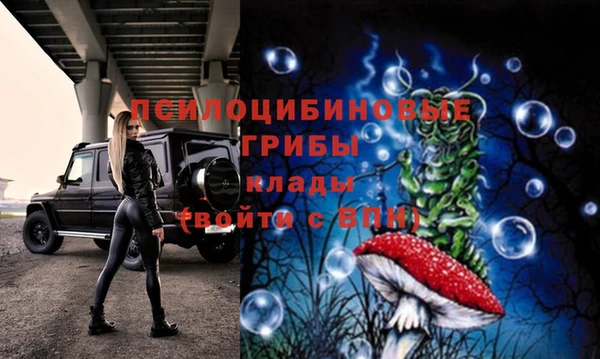 бошки Магадан